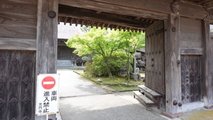 散歩写真 22/06/26