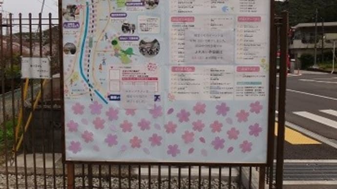 山中渓で花見をしたよ