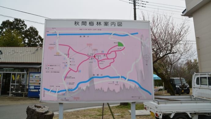 秋間梅林に行ってきました! その1