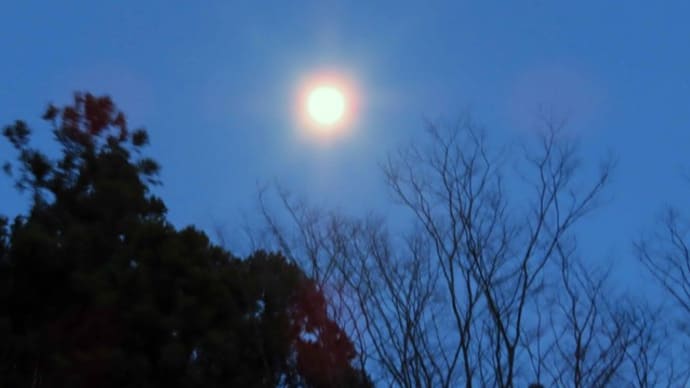 春の一日の風景