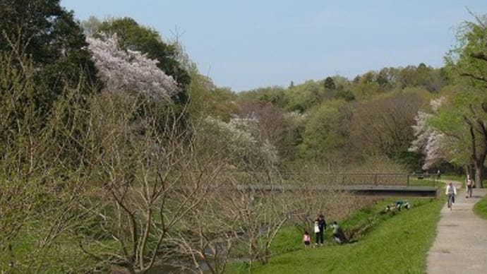 自然観察園にて~野川公園~
