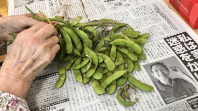 最近のあさま😆