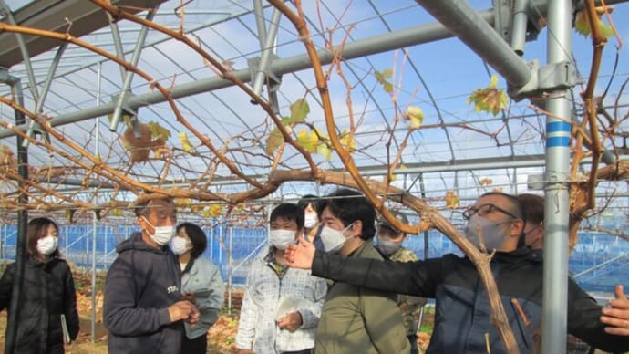 石巻地区4Hクラブが視察研修会を開催しました