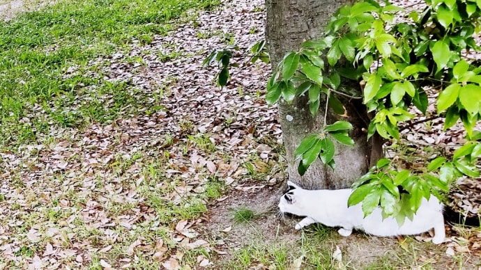 狙ってる