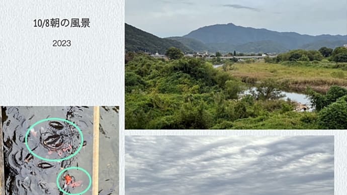 朝散歩walking & 晩御飯♪