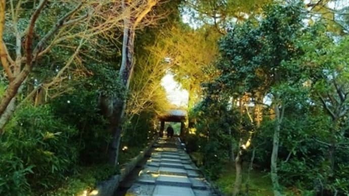 京都 高台寺・冬の夜の茶会『夜咄』 1月13日～3月5日