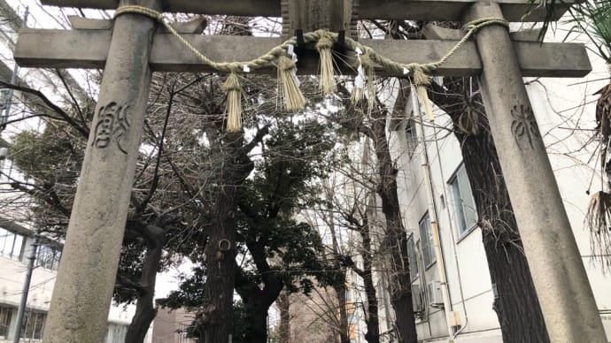 氷川町氷川神社富士塚攻略戦