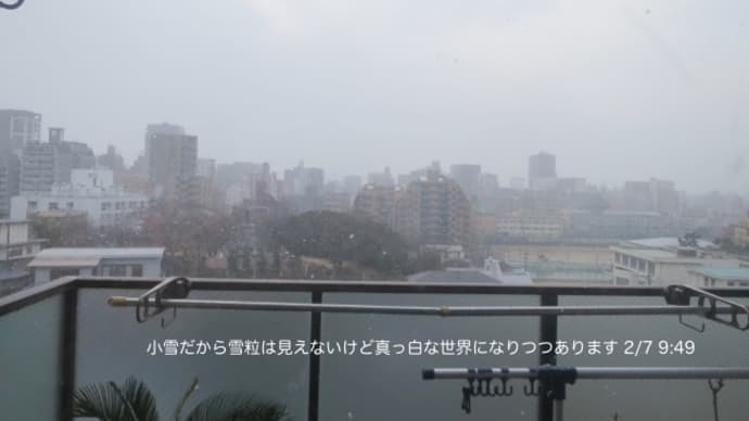 2/07~10 頑張ってアップは身近なものたち