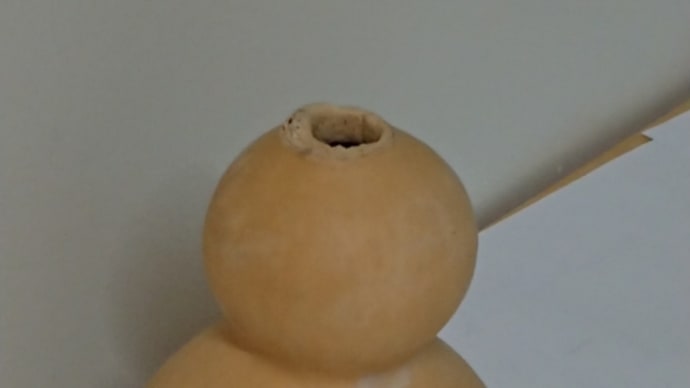瓢箪2019,104