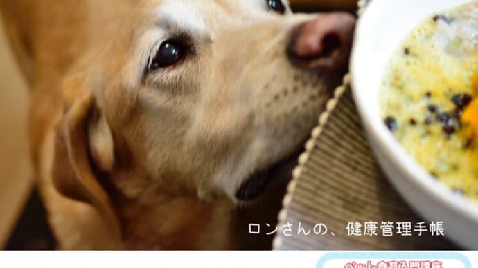 大型犬ごはん動画　☆今日のロンごはん☆鰤おじや