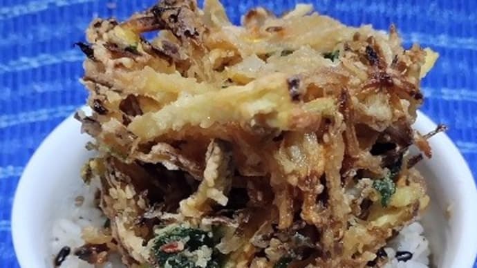 【05/06晩御飯】五目かき揚げ、届いた炊飯器で早速炊飯したんだね:D