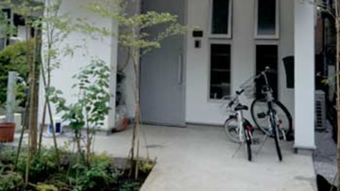 Ritoh 「木を植えました」