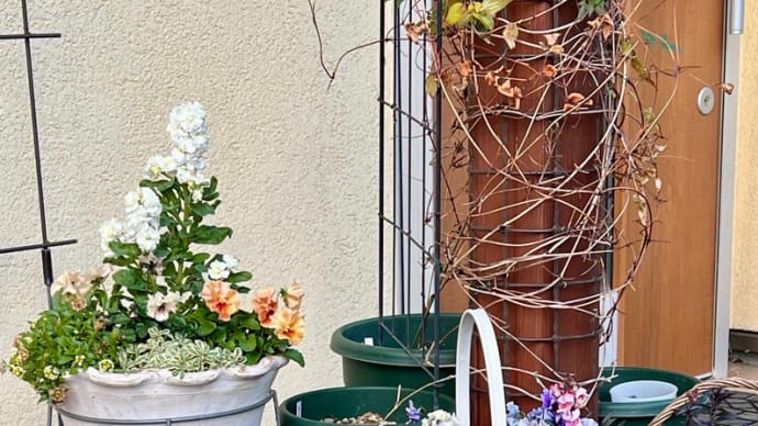 container gardening 2024.12