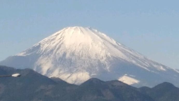 弟宅訪問