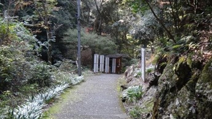 久しぶりの槇尾山登山1