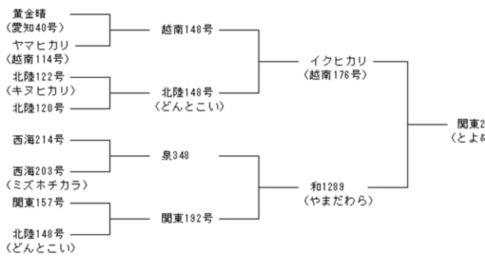 < お米 > お米の品種・銘柄 とよめき