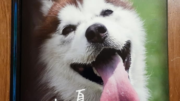 時間が必要