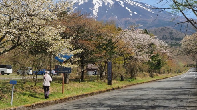 富士山中腹から山麓(20240426)