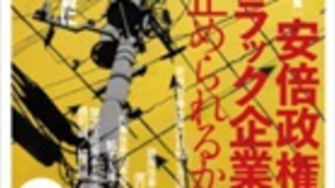 限定正社員をどう論じるのか(『POSSE vol.20』)