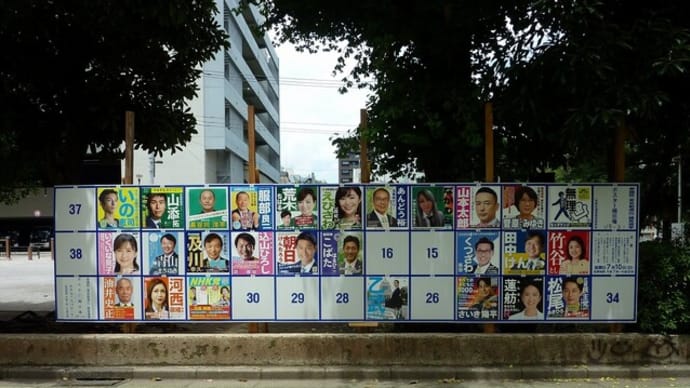 参議院議員選挙と浅草寺の四万六千日「ほおずき市」220710