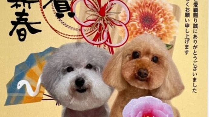 ~診療始まっております~
