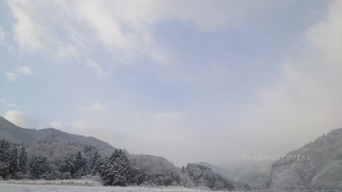 雪の朝