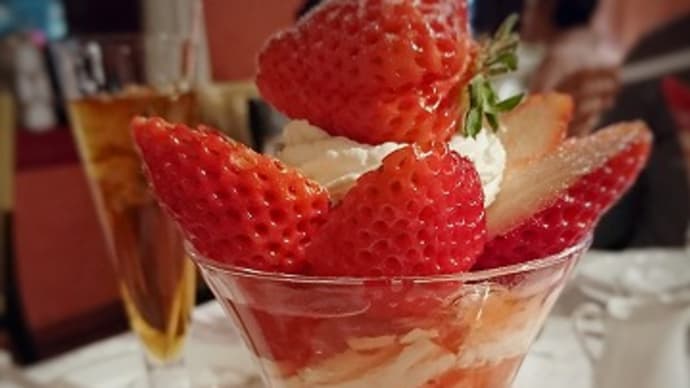 着る毛布を投入…