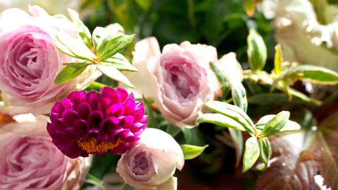 気分華やぐフラワーライフ * 10月の花贈り便 * + 過去の現実