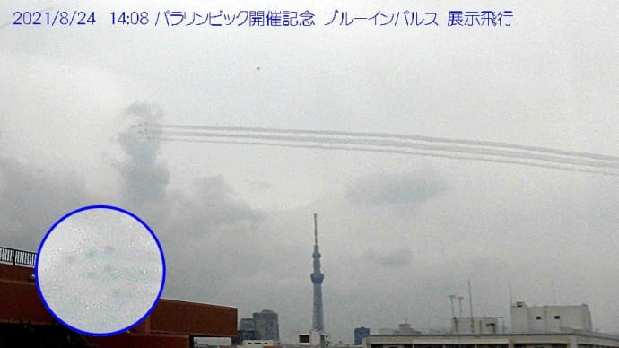 ブルーインパルス、パラ記念展示飛行