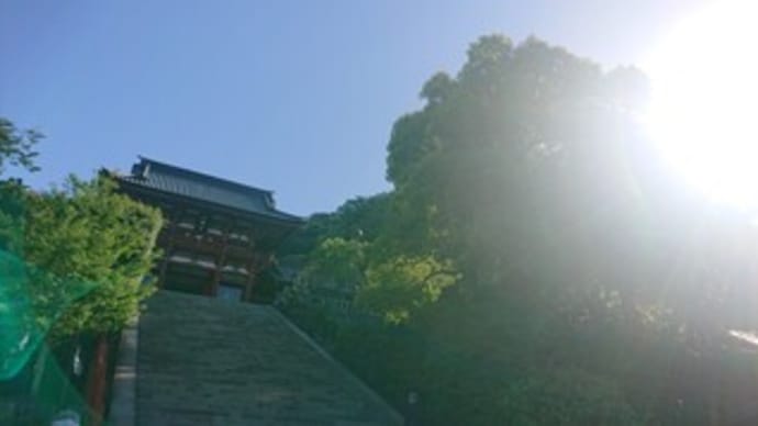 『御守り買うぞ!』って1000円持って行ったのに、朝早すぎて授与場所はClosedしていた・・・