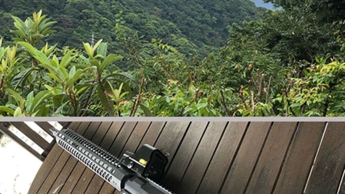 熱海伊豆山のサルとスズメバチ対策に小銃を頂きました。