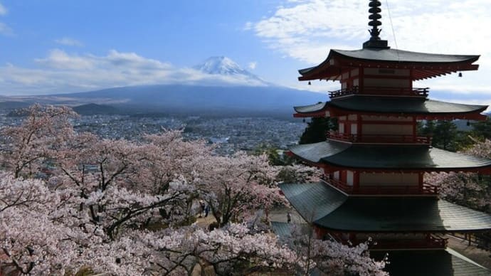 新倉山からの富士山と桜が撮れました～♪