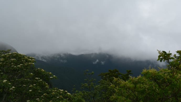 可能性は無限大
