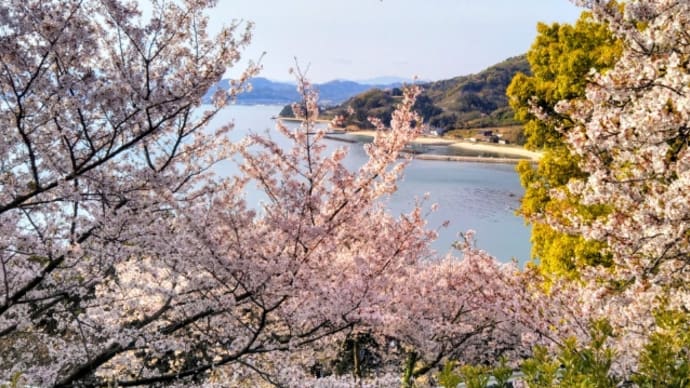 あじ竜王山公園まで…。