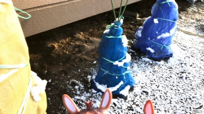 ロバくんと粉雪の庭にいるよ