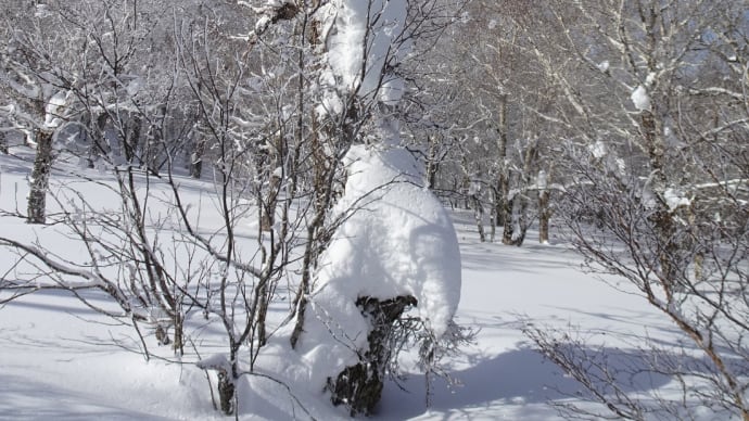 「樹雪山歩・函館七飯スノーパーク」③2025年3月8日