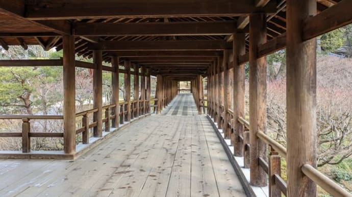 京都・東山、東福寺(2)