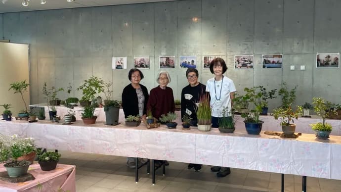 山野草の展示会へ