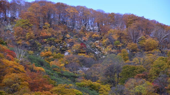 白馬大出公園から