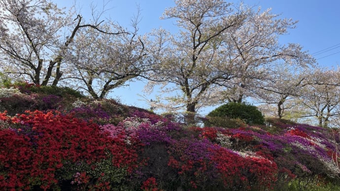 4\4 火曜日 晴