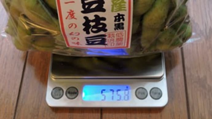 今日は篠山の黒枝豆