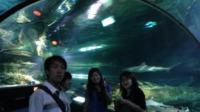 グアムの水族館