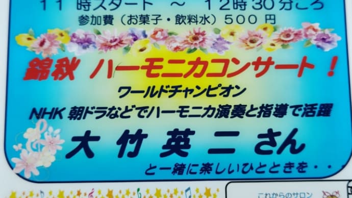 11月6日