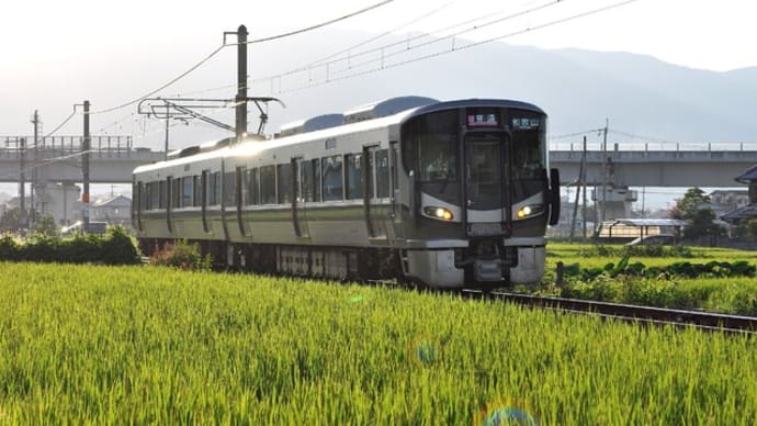 田園風景を走るJR和歌山線