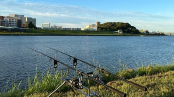 9月24日の鯉釣り