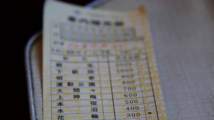 ぐんまワンデーパスSPを使用して行く「わたらせ渓谷鐵道」「上毛電鉄」の旅_2