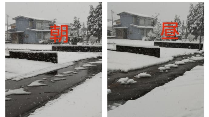 大雪警報出ました