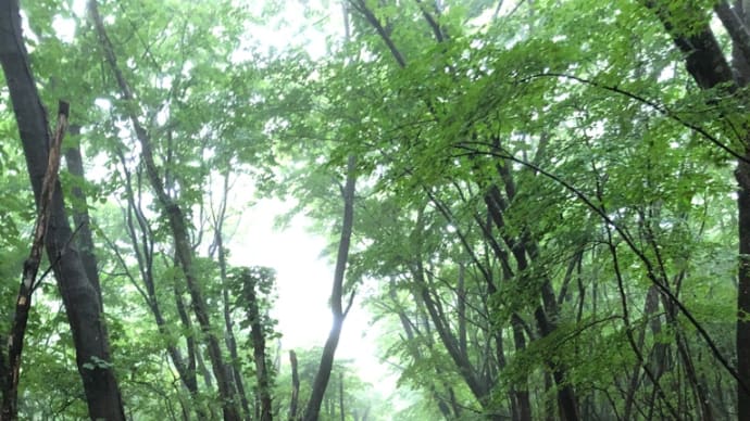雨の1日