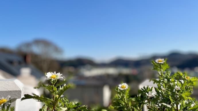 分不相応というかミスマッチというか