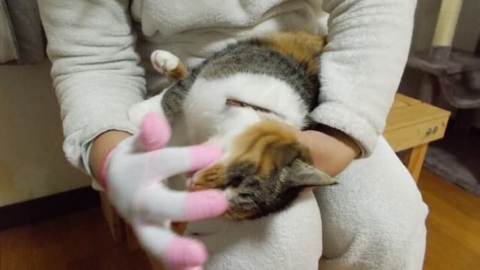 歯みがき手袋…。